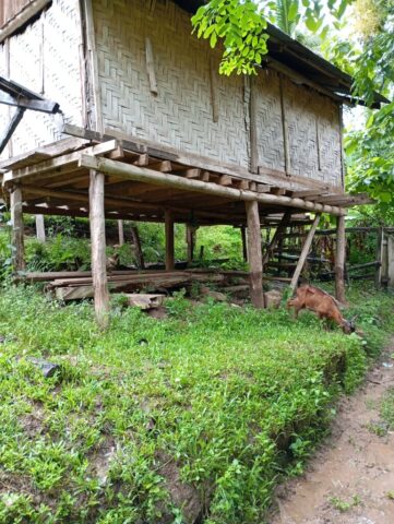 Maison traditionnelle en bambous